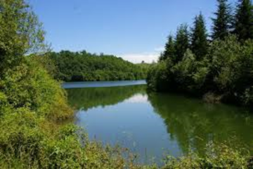 Forêt de Fabas et lac de Saint André à proximité du Camping Le Casties