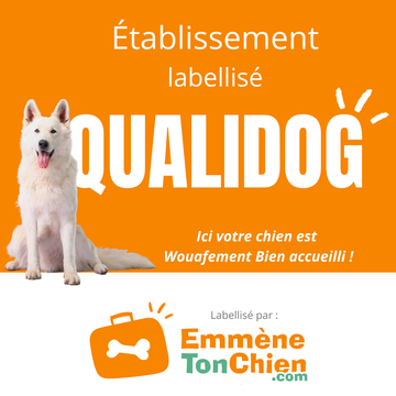 Visuel label QUALIDOG pour communication web